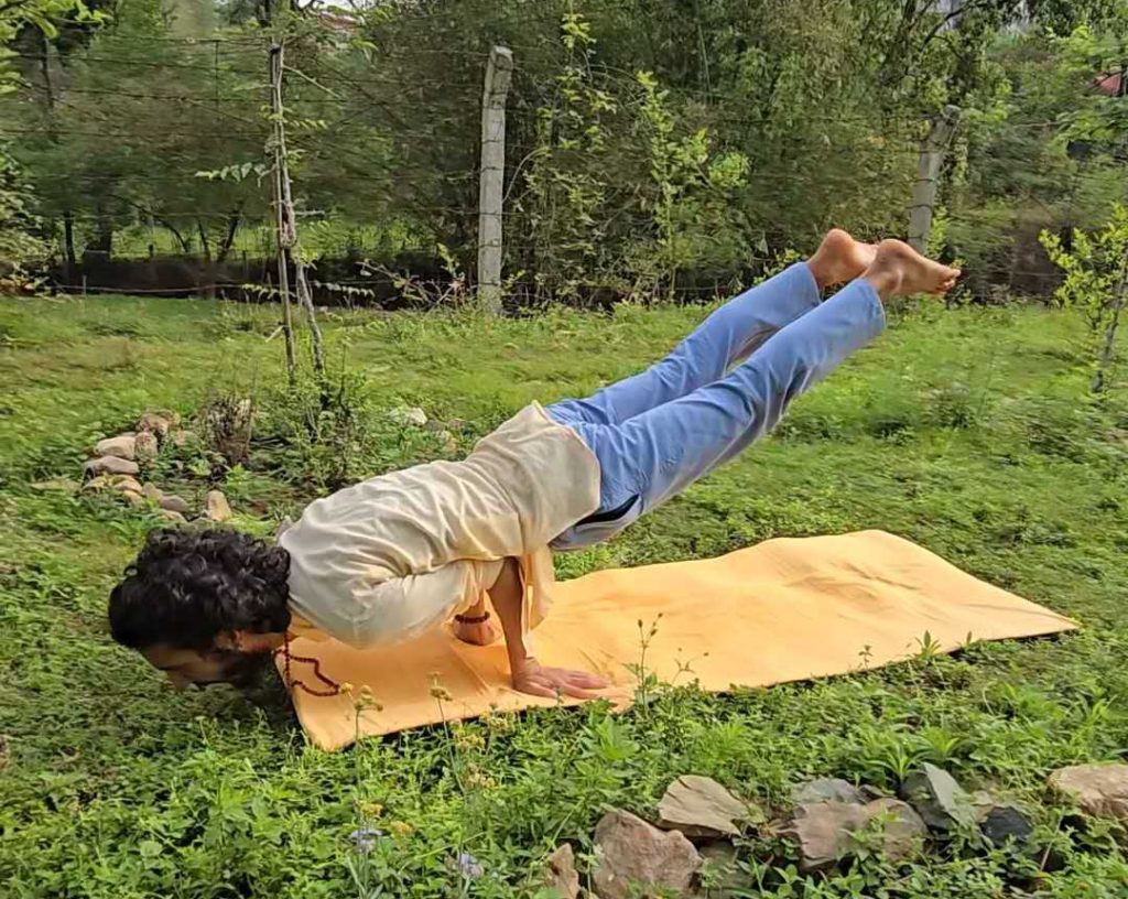 Mayurasana Peacock posture